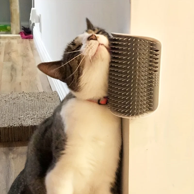 Katzenbürste Kamm Katzenspielzeug mit Katzenminze Katzenwandbürste Ecke Katzenkratzer Massage Selbst Groomer Kamm Haustierbürste Ecke Katzenschrubber