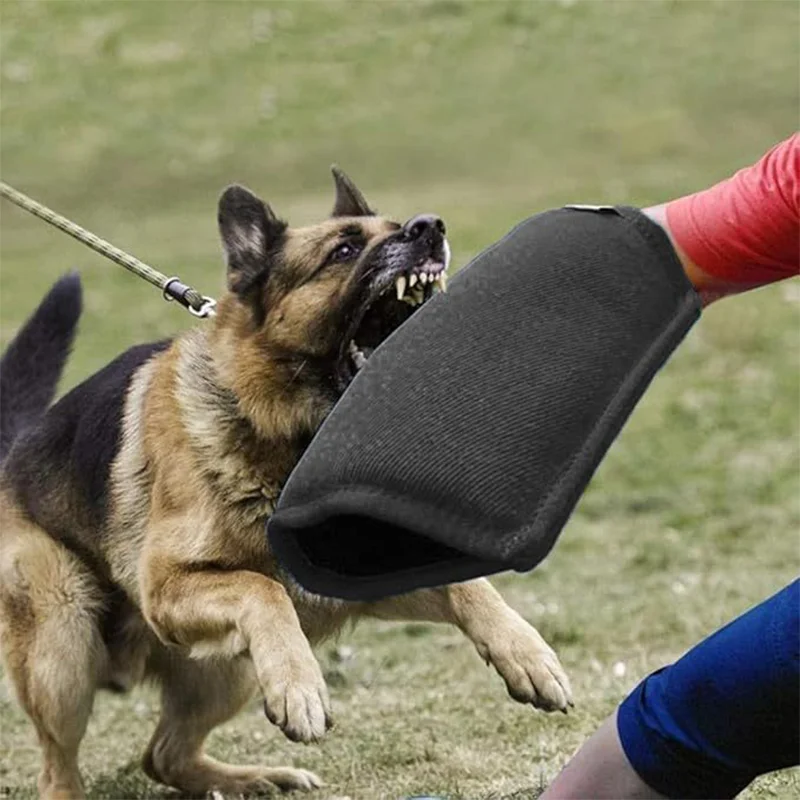 Thumbnail 4 - #5 Top 20 Puppy Tug Toys Worth Buying In 2026