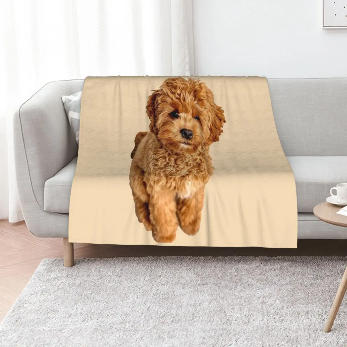 

Cavapoo Throw Blanket Stuffeds Vintage Blankets For Bed for babies Blankets