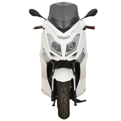 Two-Wheeled Electri…