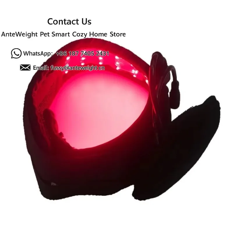 Equine Red Light Therapy Instrument for Horse Hoof Knee Hock Pasture Area Treatment Veterinary Instrument for Racing Horse Cure