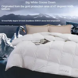 Cotton thickened duvet 95 white goose down core quilt double down winter quilt