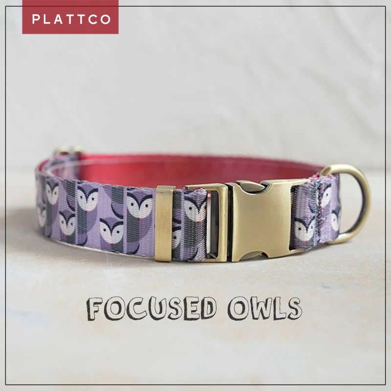 

PLATTCO unique design dog collar print FOCUSED OWLS with high-quality bronze buckle size 5 PDC316Br