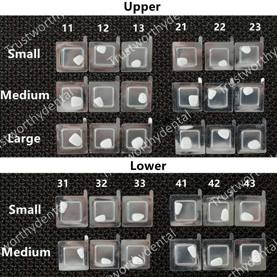 قشرة البورسلين المركبة للأسنان تبييض الأسنان الأمامية القشرة السفلية العلوية مواد ترميم طب الأسنان البيضاء الساطعة