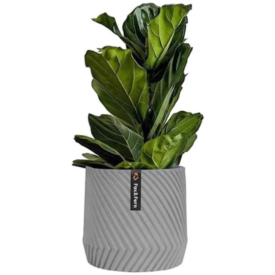 

Large Planter — Premium Polystone Plant Pot with 3D Texture and Drainage Plug Pots for Plants Indoor Large Planter for Indoor a
