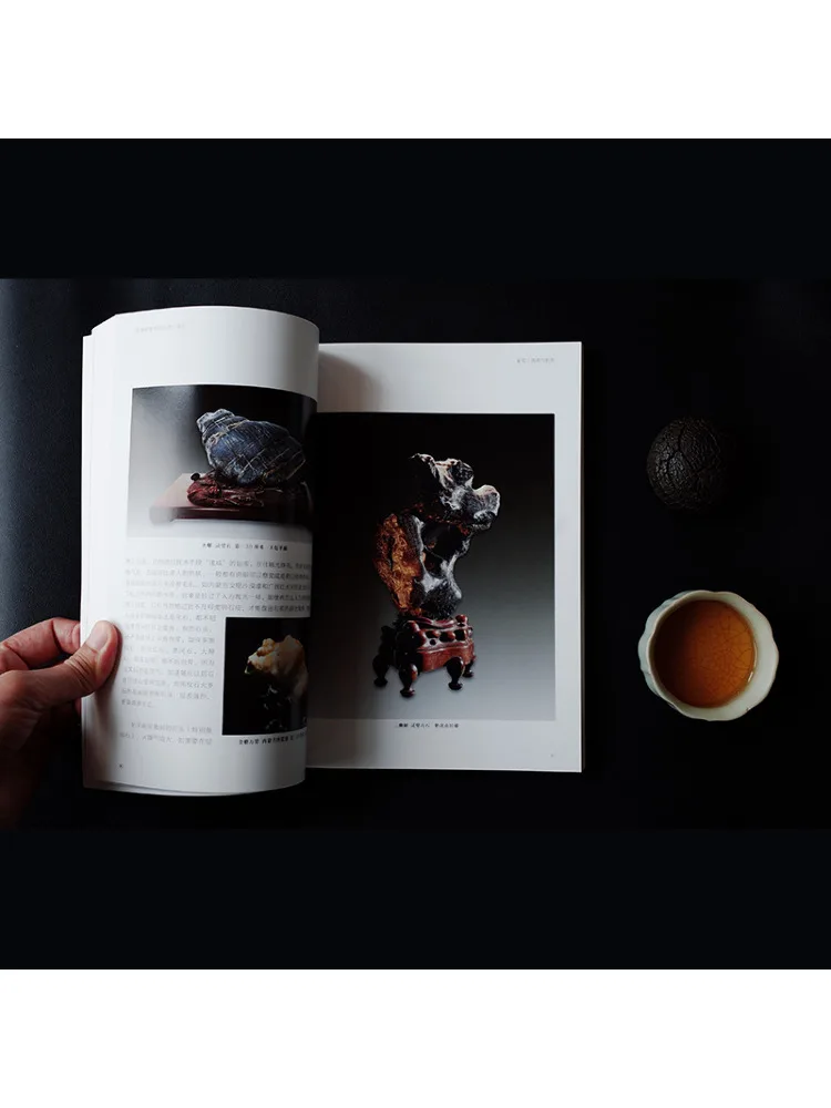 Book-Winshare Stone