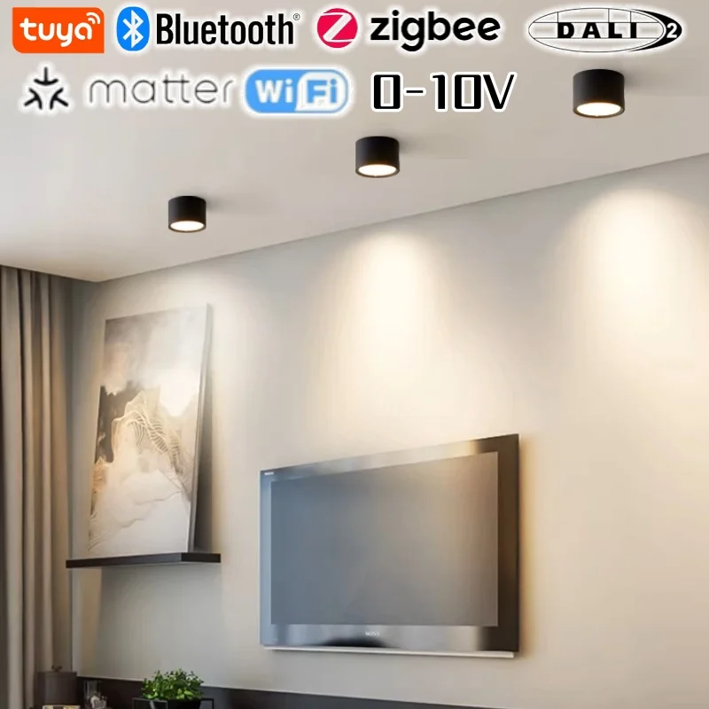 Plafonnier LED intelligent TUYA Zigbee Dali Dimmable 3CCT Commutable 7W 12W 15W SMD downlight AC85-265V Aluminium Éclairage intérieur