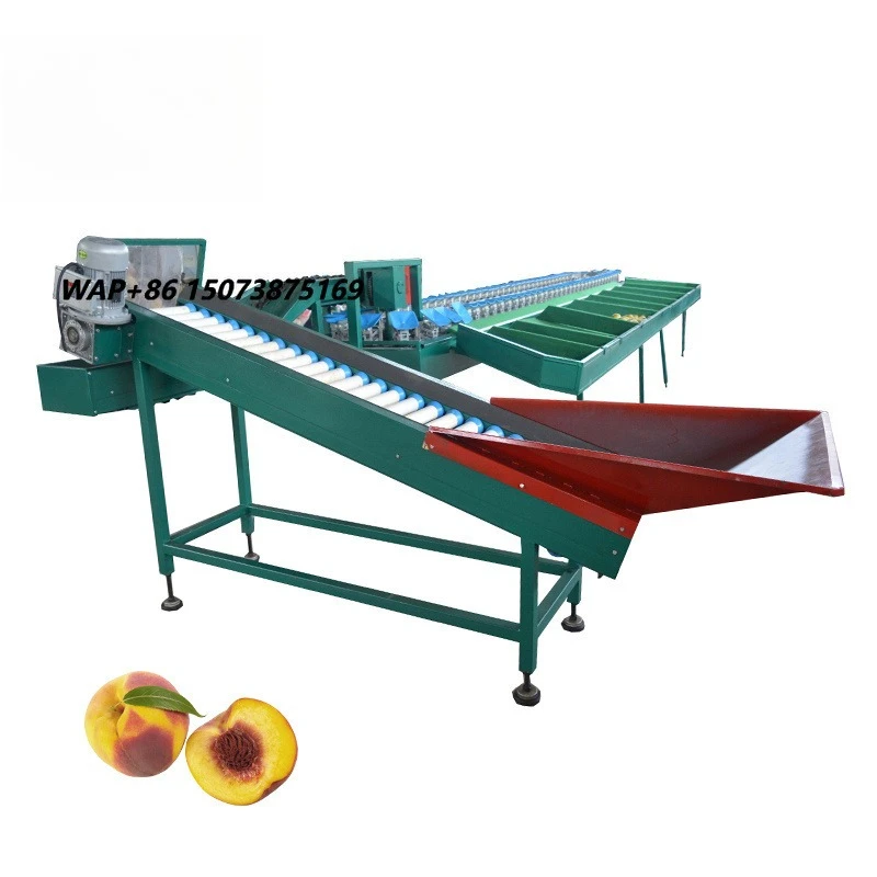 Automatic Fruit Grading Machine Auto Industrial Fruits Weight Sorting Line Machines Equipment Machinery Cheap Price for Sale