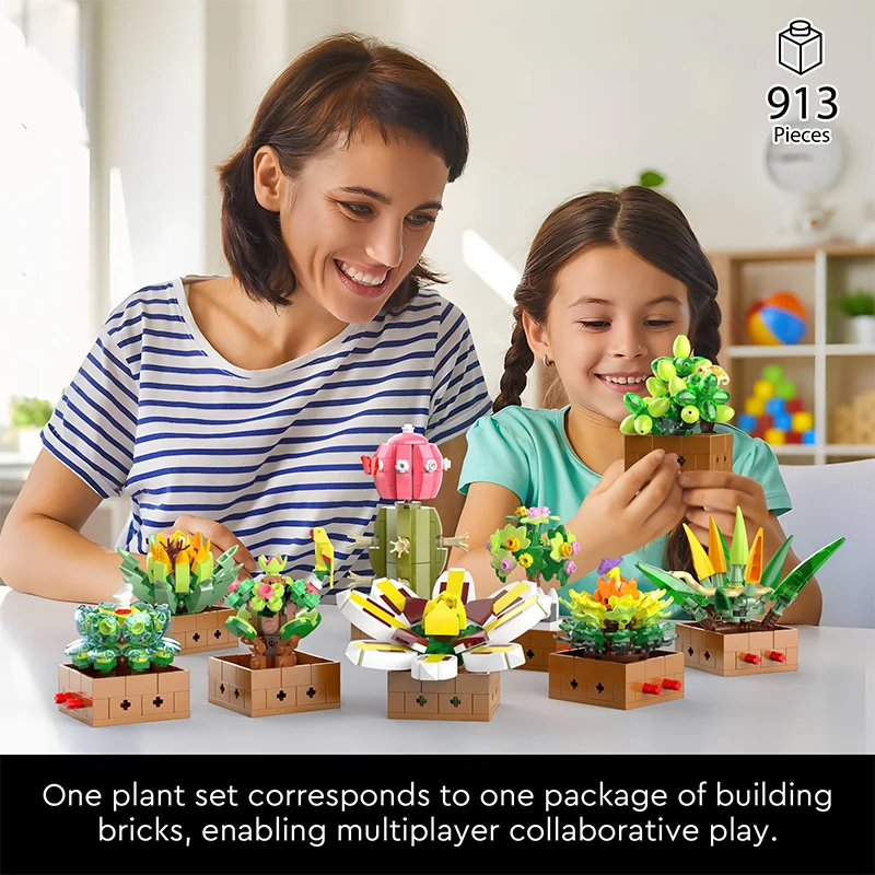 Plantes succulentes créatives  - Board Game Jumanji avis et prix