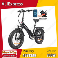 LOTDM200 E-bike 750W Motor 48V13AH Lithium Battery Adult City Electric Bike 20*4.0-in Fat Tire Mountain Folding Electric Bicycle