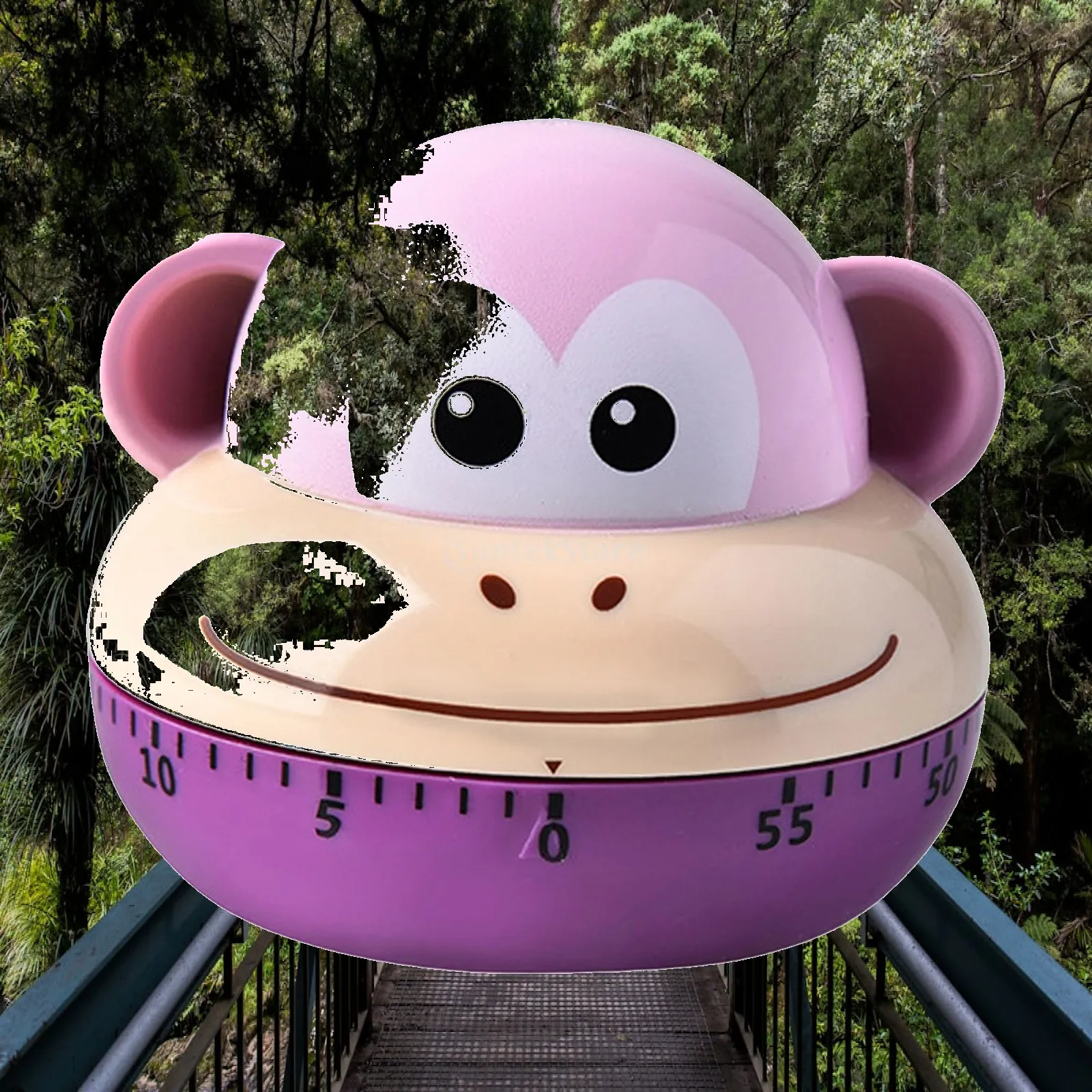 Kitchen timer, cute 60 minute alarm clock for kids cooking in classroom