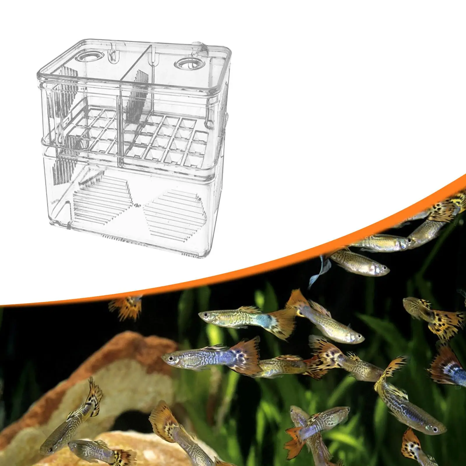 Scatola per allevamento di pesci d'acquario Scatola trasparente per isolamento di pesci per pesci pagliaccio Betta Guppy