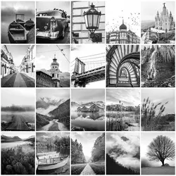 RUOPOTY Painting By Numbers For Starter Kit Black and white architectural forest close-up Acrylic paints landscape For Home Deco