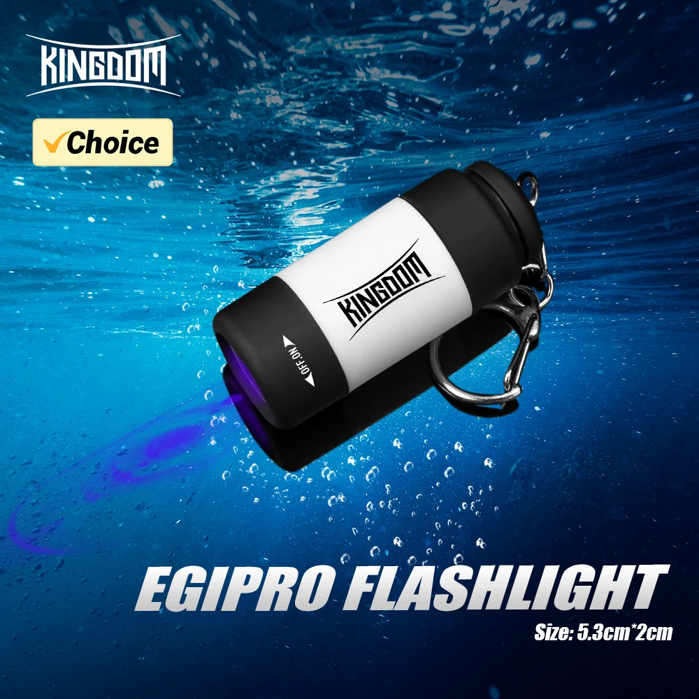 Kingdom Flashlight …