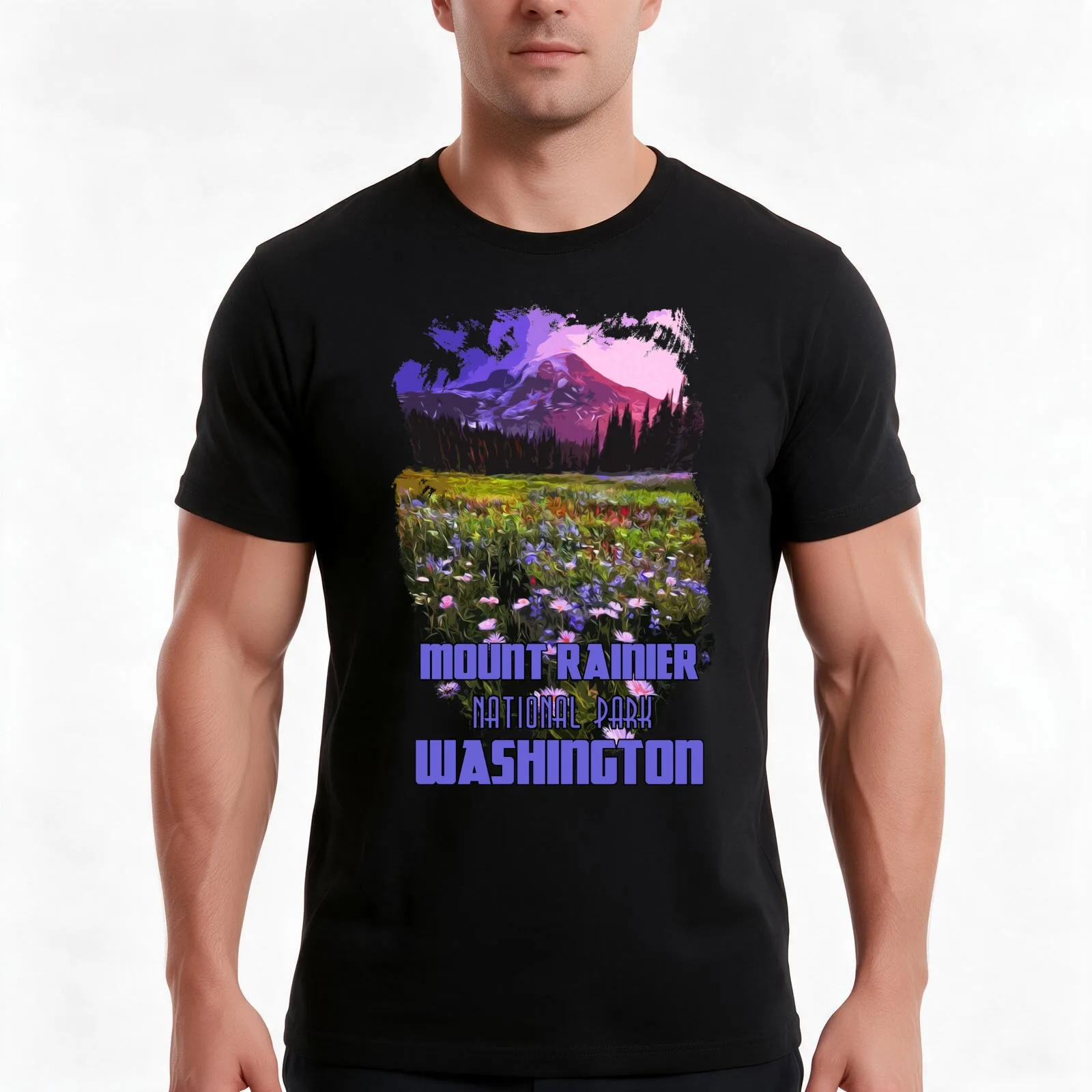Washington, Mount Rainier National Park T-Shirt, Summer Casual Cotton Tee, Oversized Streetwear Tops, Vintage Graphic Print