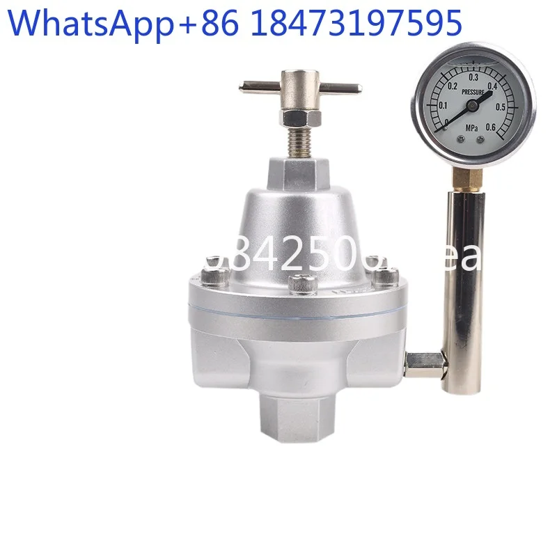 Diaphragm pump large flow paint regulator valve stainless steel paint filter pneumatic back pressure valve