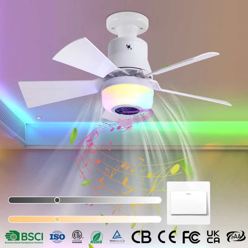 Ceiling Fans With R…