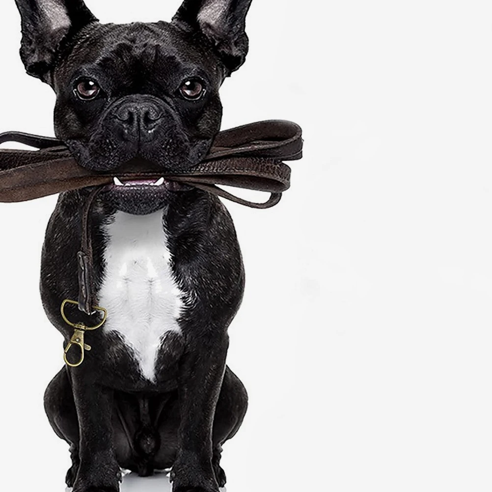 

35pcs Metal Lobster Claw Buckle Durable Material DIY Accessories Key Bag Parts Clasp Craft Project Supplies Jewelry Making