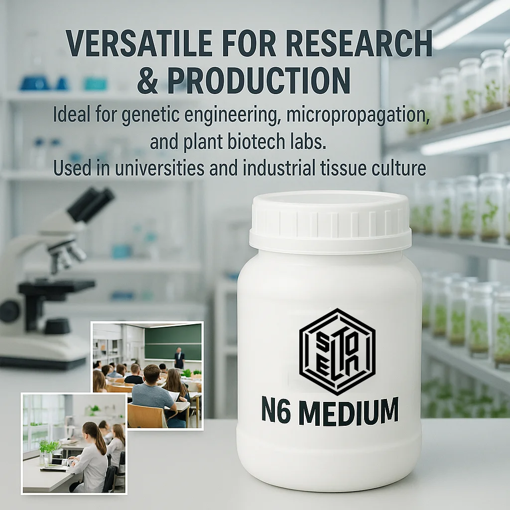 N6 متوسط بدون سكر أو أجار لمسحوق بروتوبلاست أنثري لتجديد الثقافة والنباتات 50 جم/100 جم/250 جم