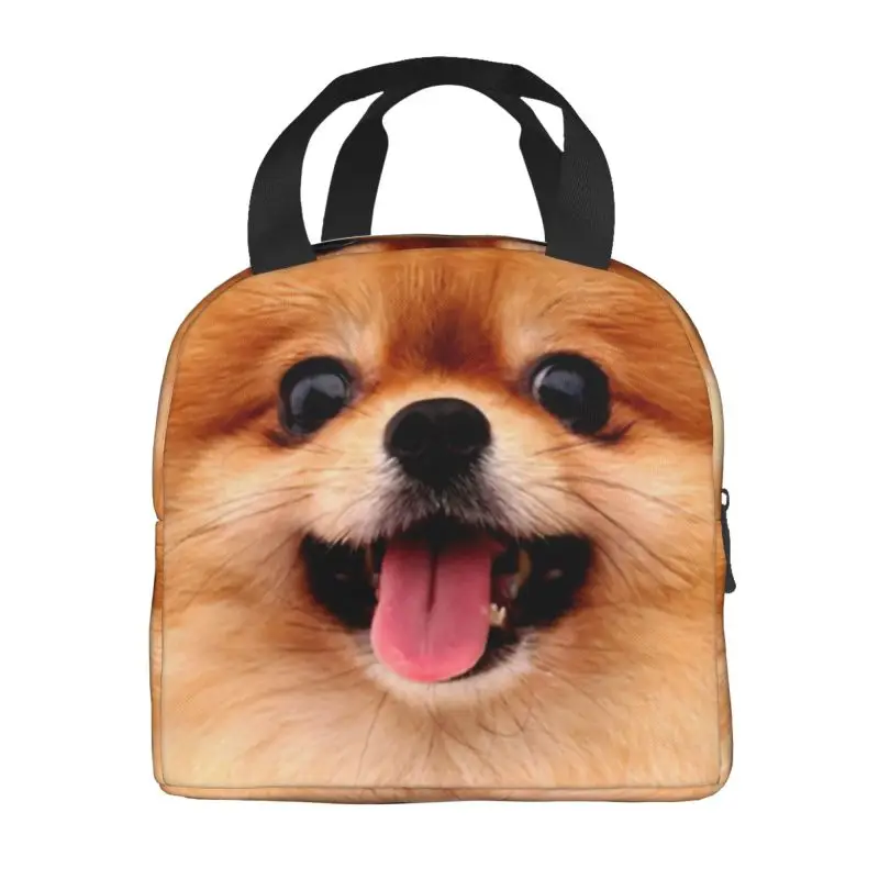 Pomeranian Puppy Portable Lunch Boxes Leakproof Spitz Pom Dog Thermal Cooler Food Insulated Lunch Bag School Children Student