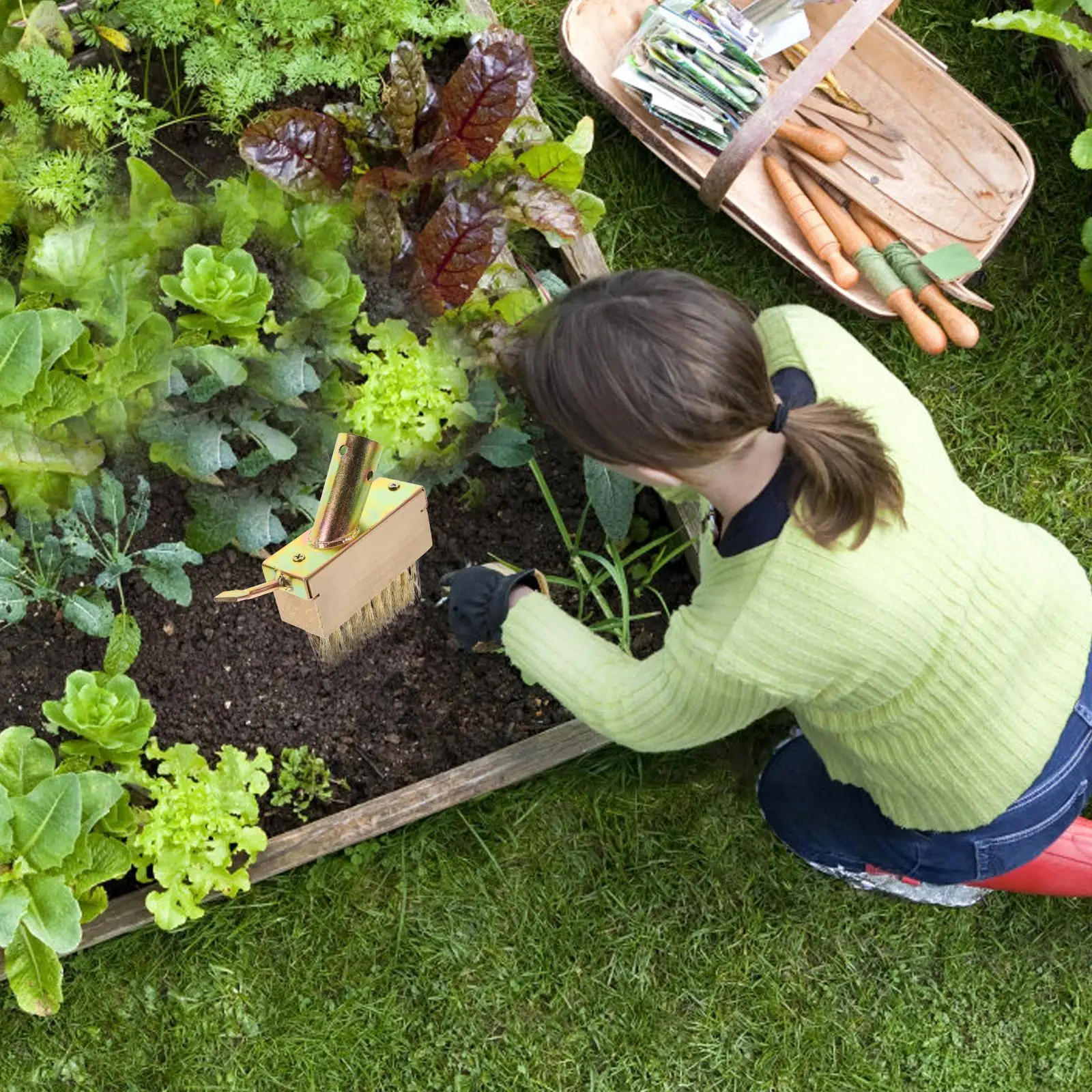 Cepillo de deshierbe de alambre de acero para herramientas de jardinería, eliminador de musgo, mango antideslizante duradero, portátil, compacto, fácil de usar, 2 uds.