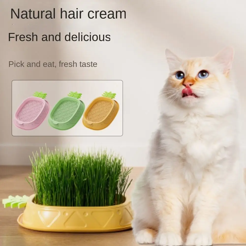 Pineapple Shape Cat Grass Planting Box Seed Sprouting Trays Without seeds Planting Hydroponics Boxes Soilless Hydroponic