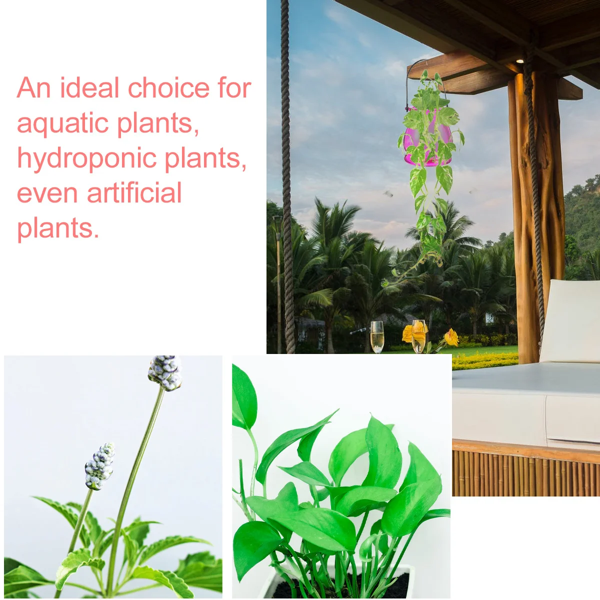 

3Pcs Hydroponics Bottle Durable Material Simple Design Water Plant Holder Vase for Home Office Balcony Living Room Decoration