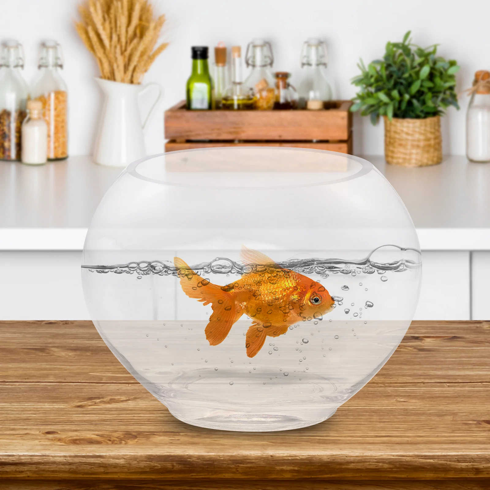 

Glass Fish Tank Oval Opening Desktop Micro Landscape Bottle Decorative Plant Terrarium for Home Dining Room