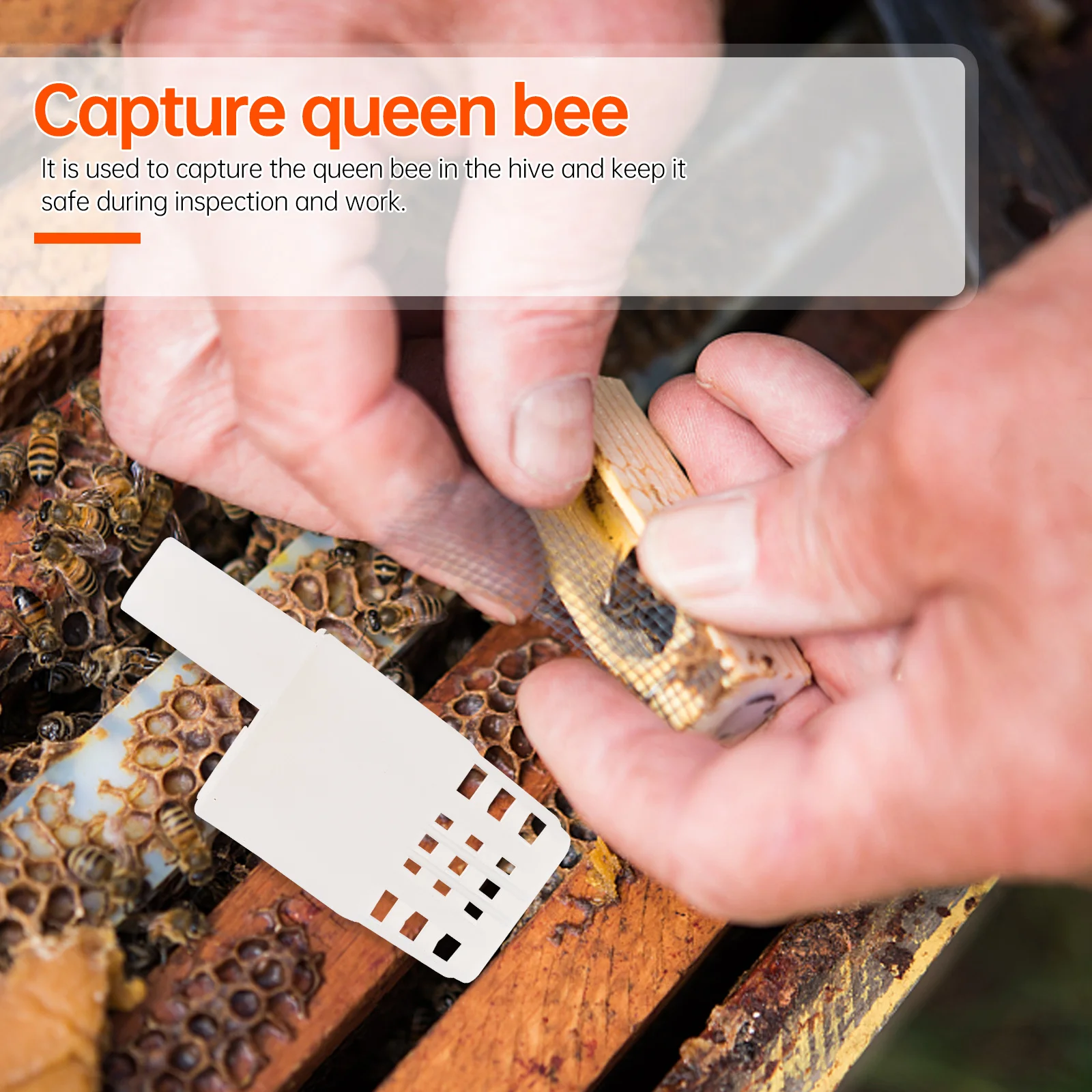 

10Pcs Bee Queen Plastic Cages Portable Beekeeping Transport Storage Rearing Tool Bee Cages Beekeeping Supplies