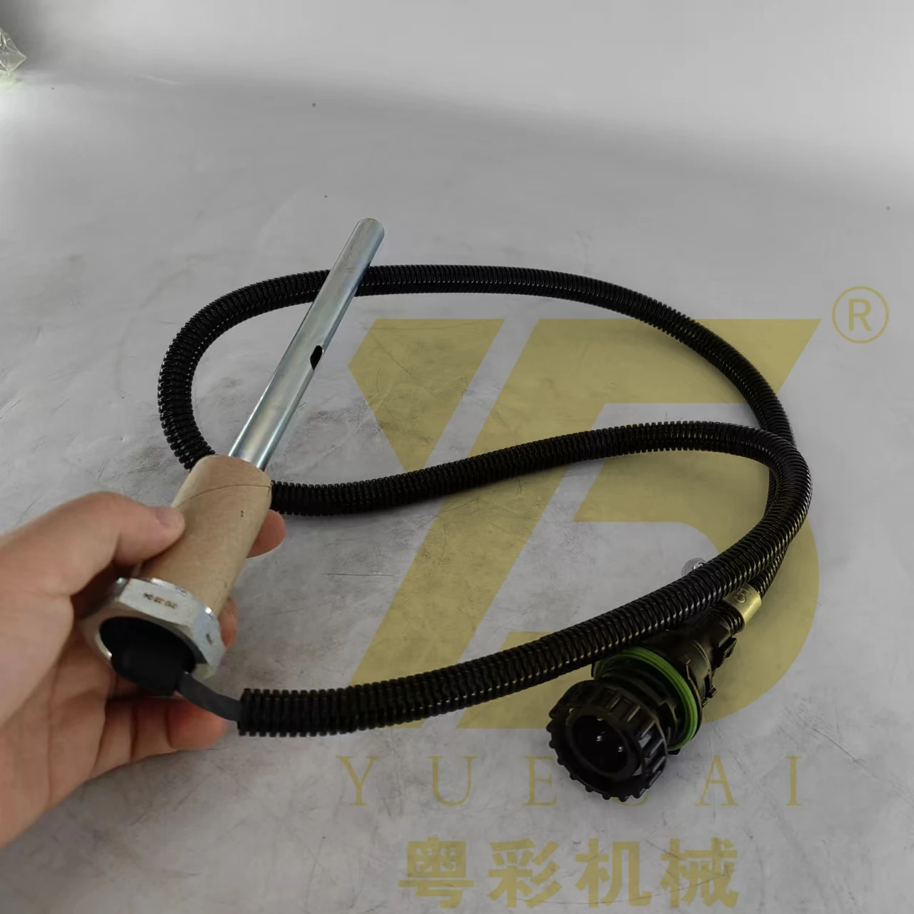 Yue Cai 22383378 22…