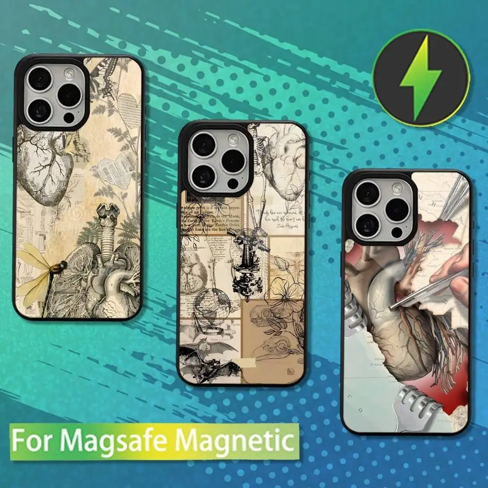 

Human Art Anatomy Medical Phone Case For iPhone 16,15,14,13,12,11,Pro,Max,Plus,Mini,Magsafe,Magnetic Wireless Charging Case