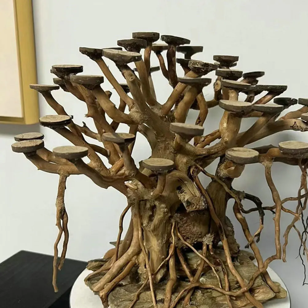 50 قطعة خزان حوض السمك المواد الخام أقراص قشرة جوز الهند نموذج لوازم نماذج رقاقة جوز الهند المستديرة