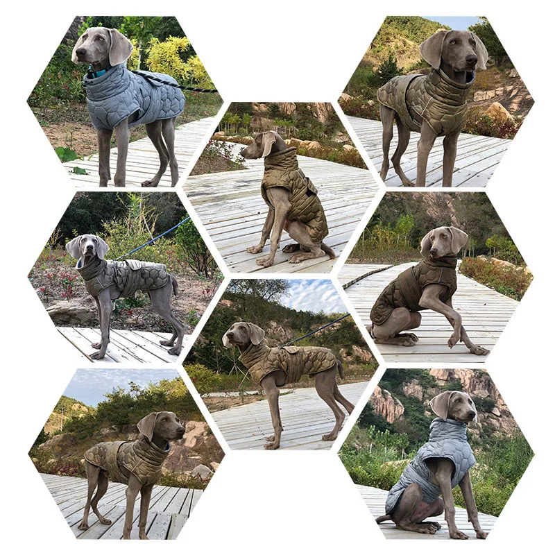 

Winter Dog Clothes for Large Breed Reflective Snowsuit Big Dog Jacket with Fleece Lining Warm Coat for Whippet Greyhound Pet