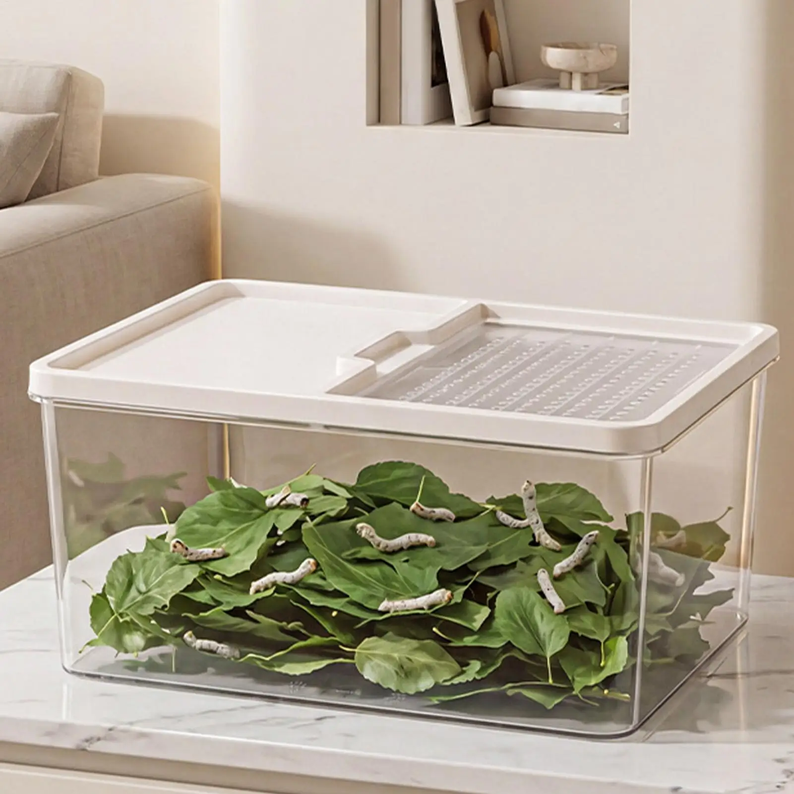 Turtle Habitat with Lid Ramp Clear Basking Small Terrarium Reptiles Turtle Aquarium House for Frog Shrimp Hermit Snake Leopard
