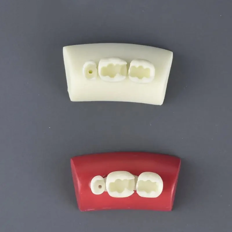 

1PCS Oral Filling Model Dental Inlay Exercise Model Block Filling Exercise Typodont Resin Materials For Dentistry Teaching Stud