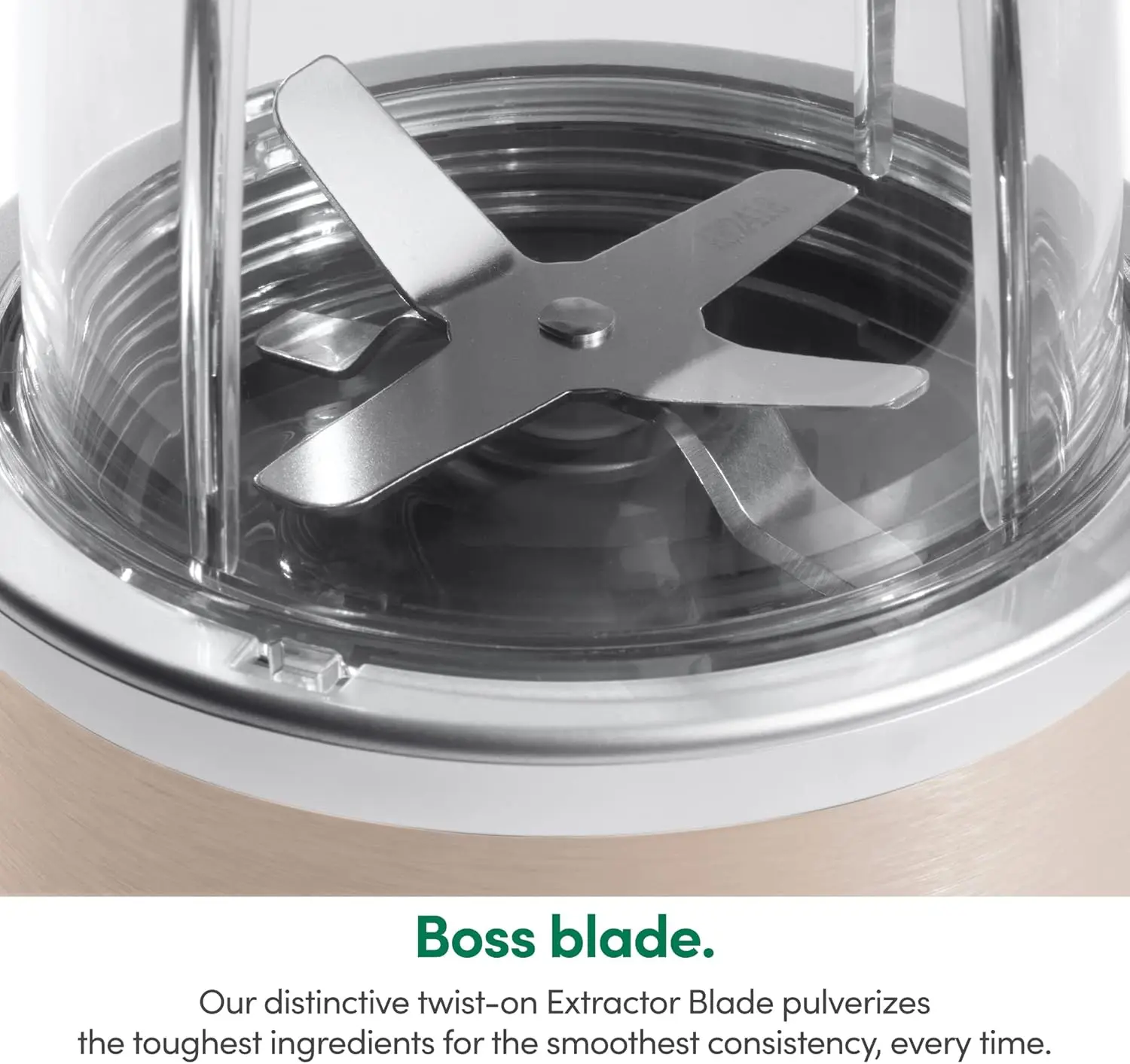 Pro 900W 개인용 블렌더 - 13피스 고속 블렌더/믹서 시스템, 샴페인