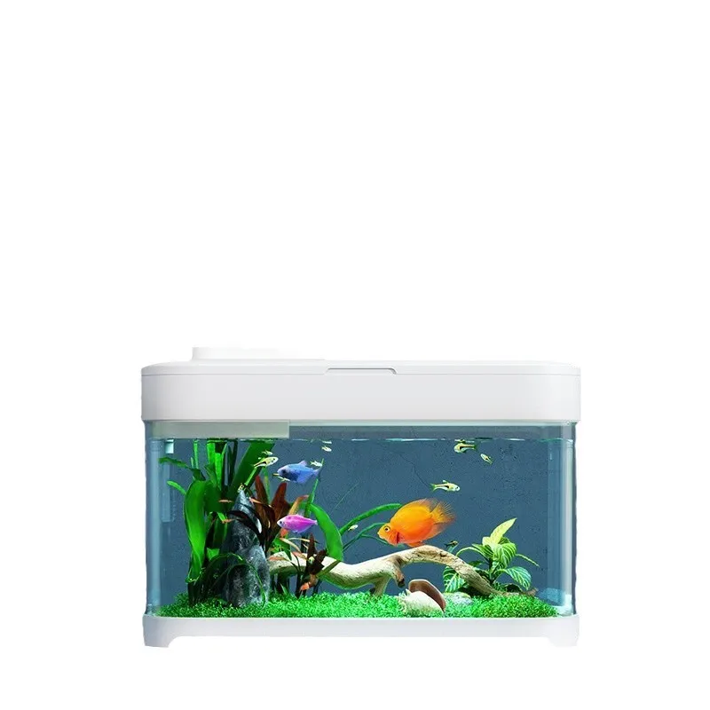 

Lazy fish tank, no water change, household, desktop, ecological, living room