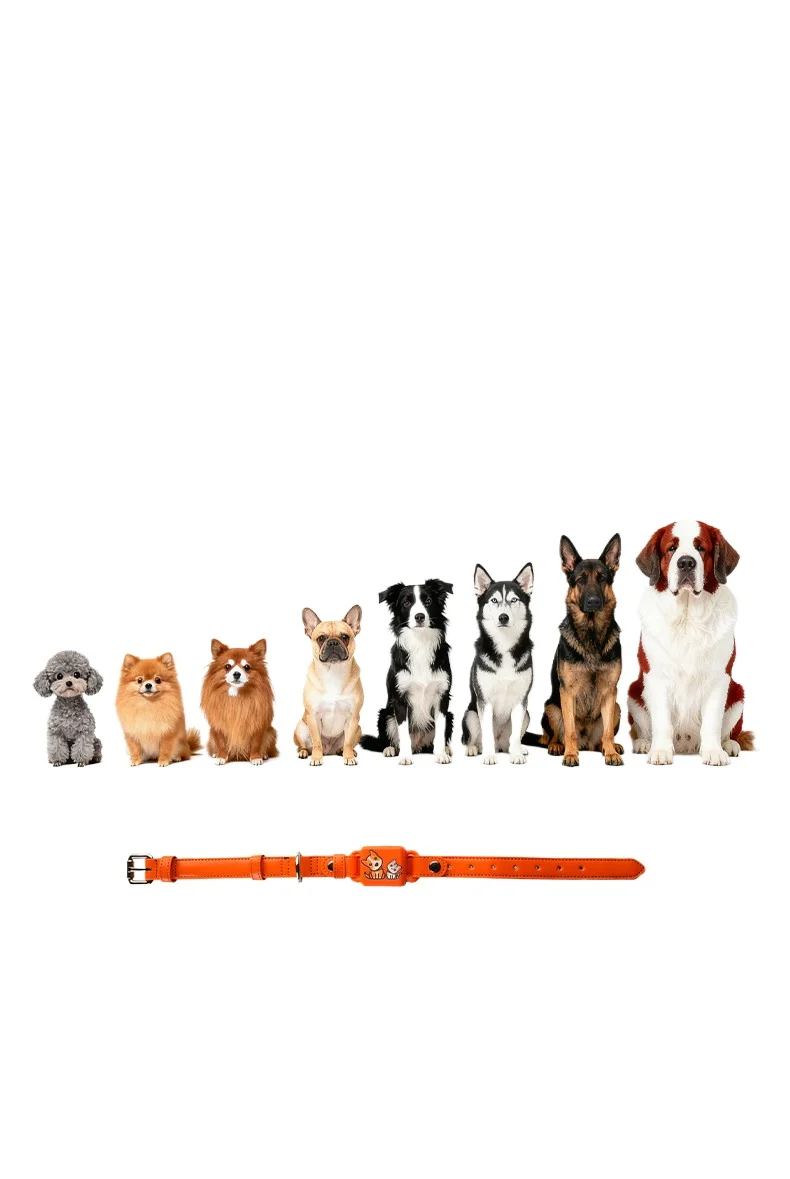 Pet locator, positioning collar, anti-lost, deeply waterproof, bite-resistant