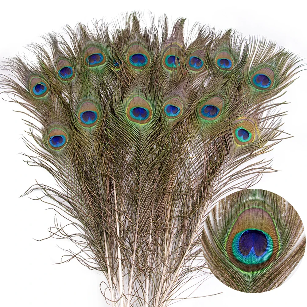 10PCS/lot Naturally Peacock Feathers 8-50CM for Wedding Clothing Feather Accessories Party Carnival Restaurant Vase Decoration