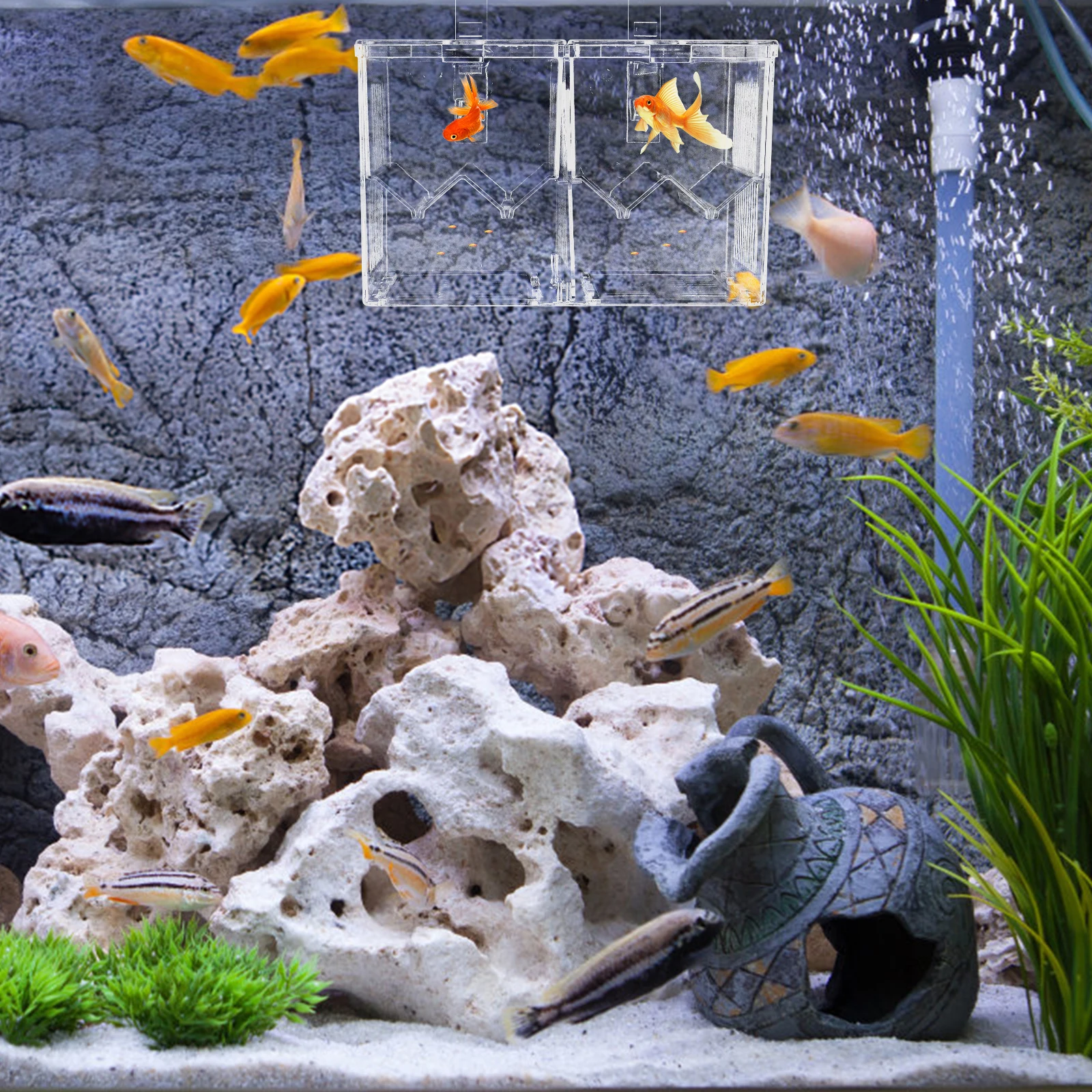 

1pc Double Layer Aquarium Isolation Box Breeding Box Small Fish Tank Hatchery Incubator Juvenile Fish Protection Plastic Compact