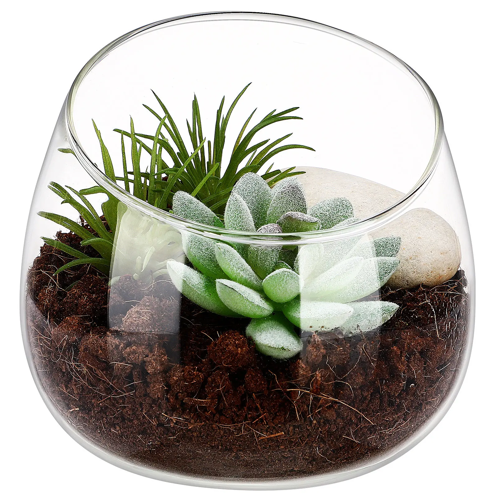 Decorative Clear Glass Bowl Vase Unique Slanted Mouth Ideal for Indoor Succulent Planting Home Office Centerpiece