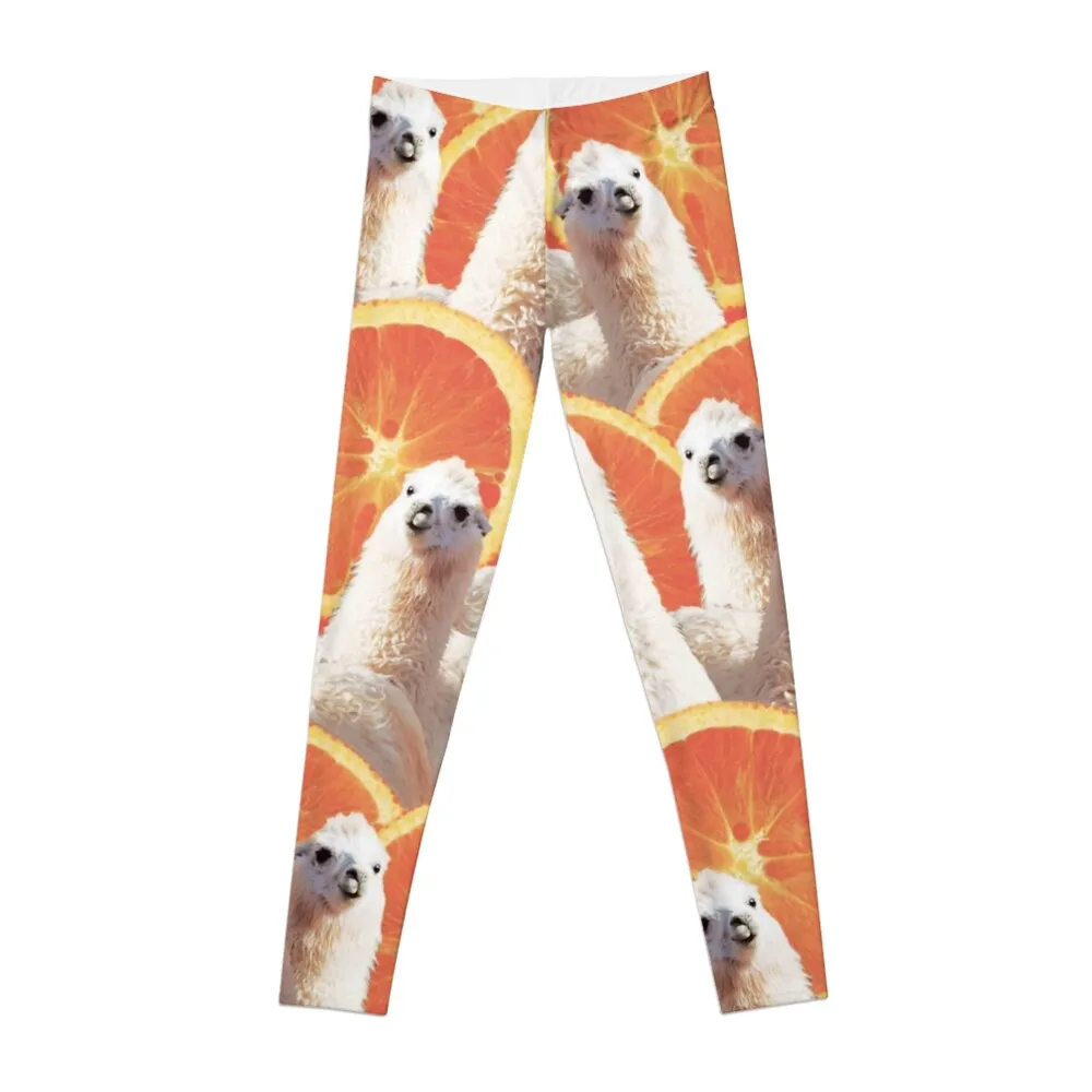 

Funny Llama Orange Crazy Collage Leggings high waist workout shorts Women's sports Womens Leggings