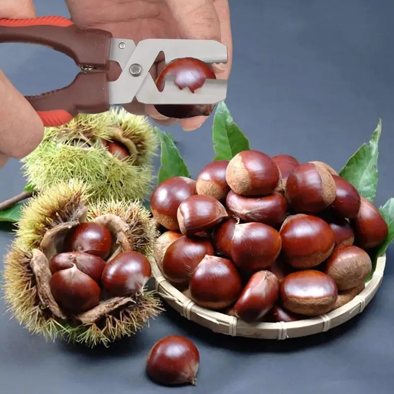 

Chestnuts Cutter Chestnut Shell Opener Compact Ergonomic Handle Multipurpose Heavy Duty Strong Chestnut Peeler For Dried Fruits