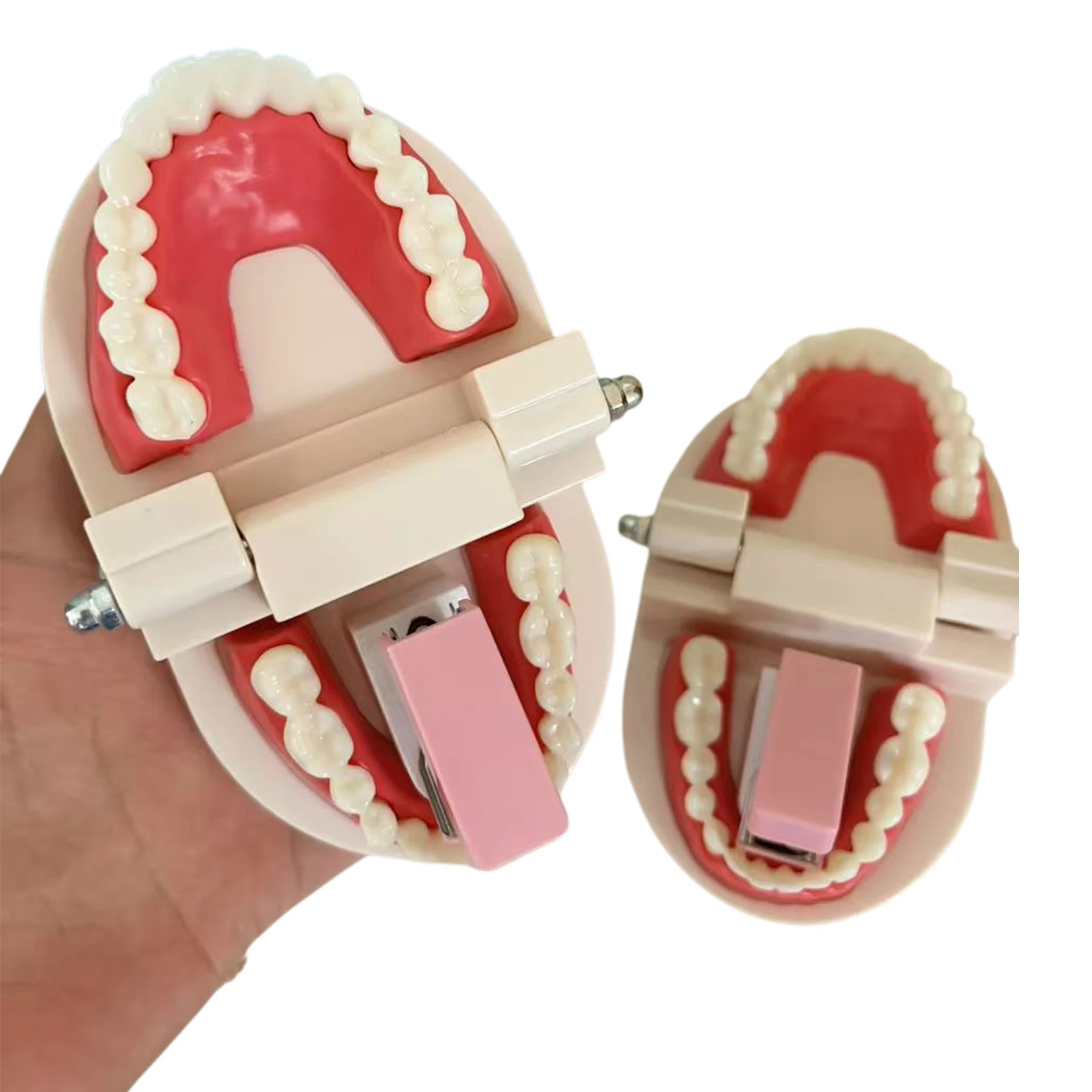 Funny Dentures Stapler Novelty Teeth Shaped Mini Portable Stapler Creative Dentist Gift Office Desk Stapler with Staples