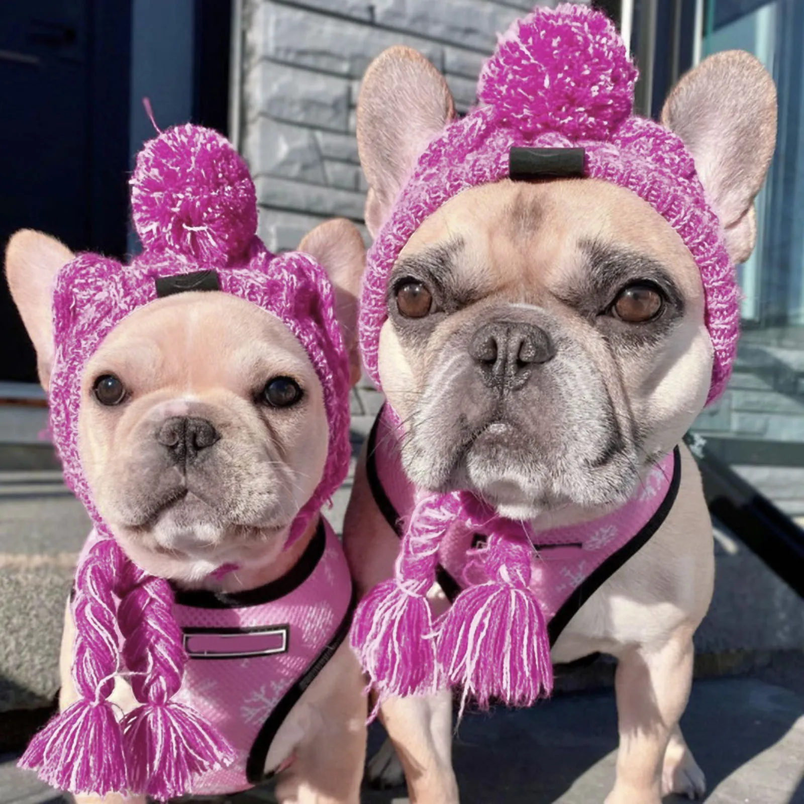 Winter Warm Dog Hats Windproof Knitting French Bulldog Hat For Dogs Chihuahua Hat Fluffy Ball Pet Hat Puppy Accessories