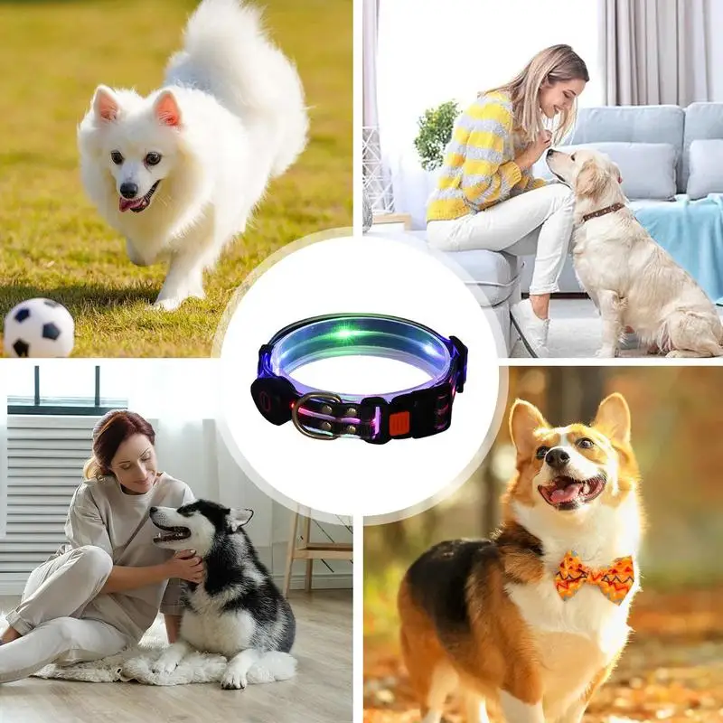 Dog Led Light Up Collar Rechargeable Waterproof Glowing Adjustable Dog Collar Weather Proof Dog Lights For Night Walking