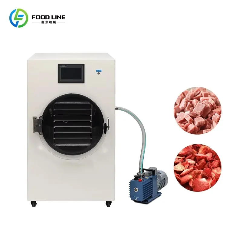 Custom Vacuum Freeze Dryer, Touch Screen Lyophilization Machine for Fruit Vegetable Food Preservation, Household Small Capacity