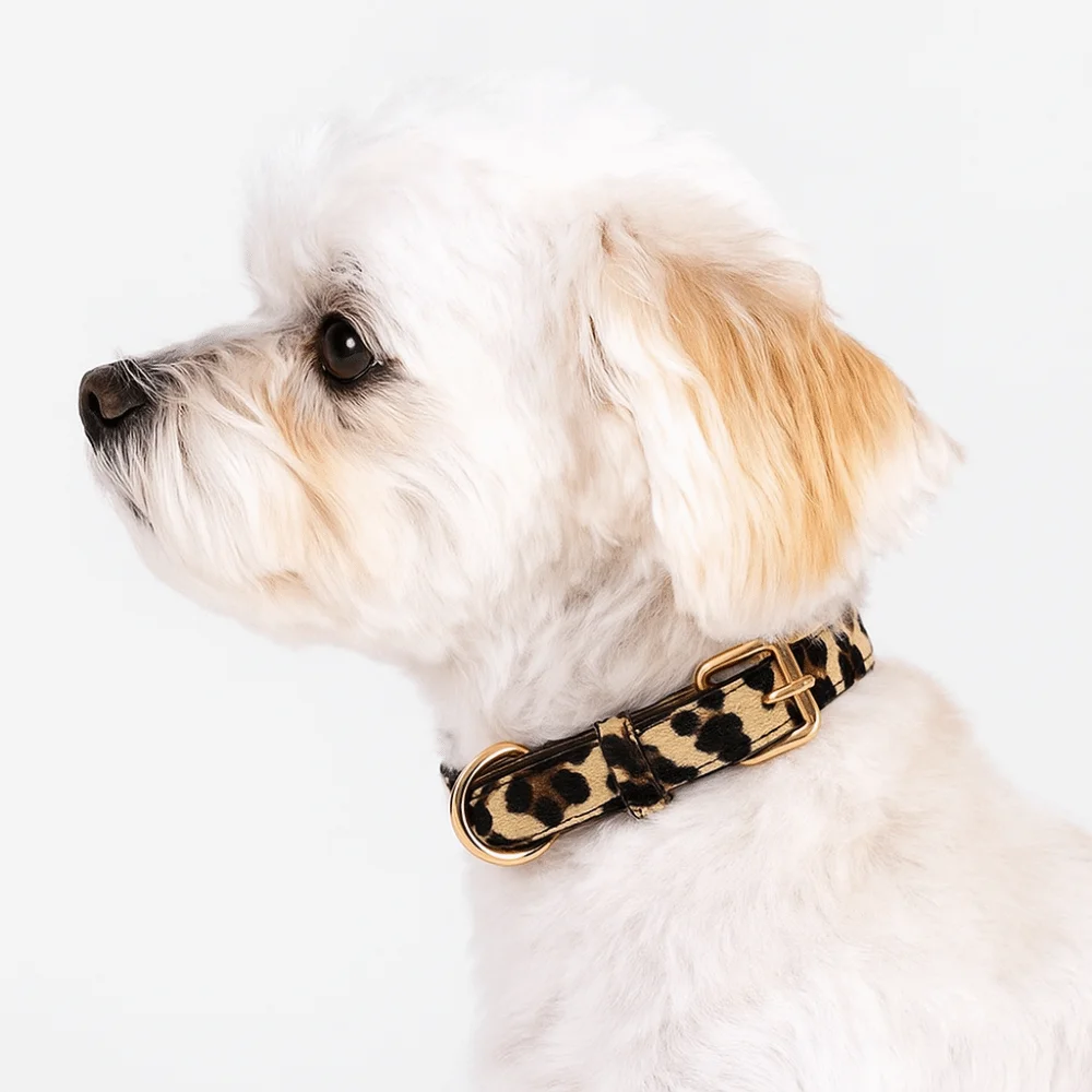 Leopard Print Dog Collar Pet Walking Wear Resistant Leopard Dog Collar PU Leather Adjustable Pet Collar for Small Medium Dogs