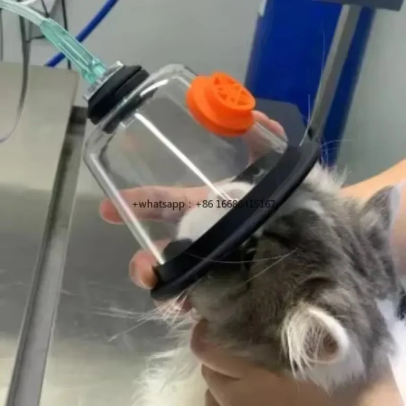 Pet Therapy Rescue Mask Vet Recovery Face For Animal