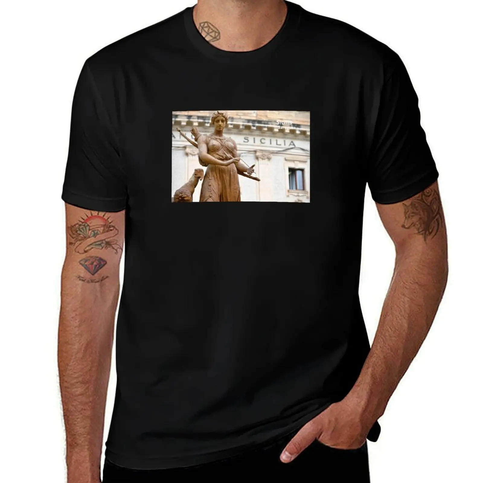 

Sicily, Sicilia, Italia - Fountain of Diana, Syracuse T-Shirt cute clothes vintage graphic tee men clothings